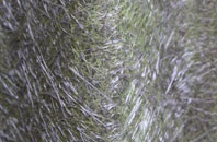 High Rougham fibreglass roof work